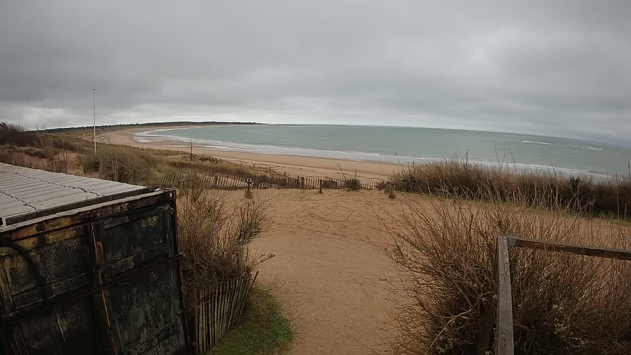 A sandy beach stretches along a calm, gray sea under an overcast sky, viewed from behind a weathered container and dune grasses.