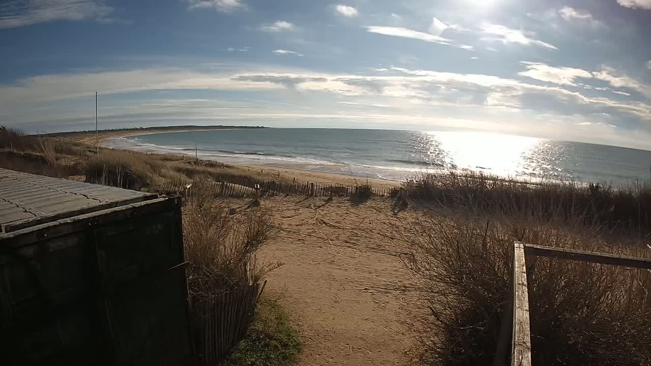 A sandy beach and ocean are visible under a mostly sunny sky, viewed from behind a dark-colored container and dune grasses.