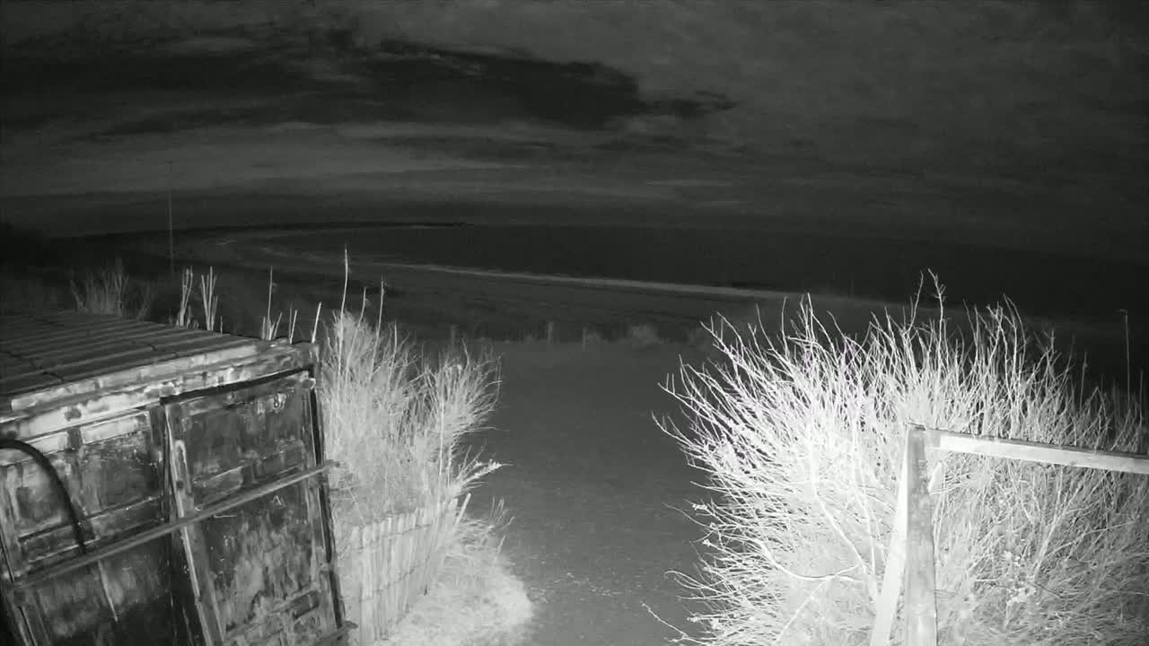 A dark, nighttime scene shows a metal container near a gated path leading to a beach under a cloudy sky.