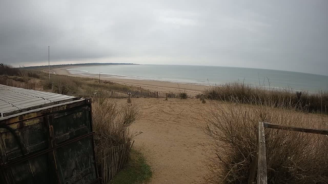 A sandy beach stretches along a calm, gray sea under an overcast sky, viewed from behind a weathered container and a dune with sparse, brown vegetation.