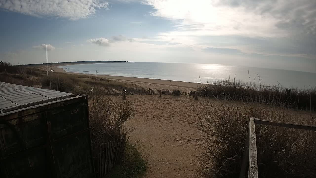 A sandy beach and calm ocean are seen from a dune, partially obscured by scrub brush and a dark container.