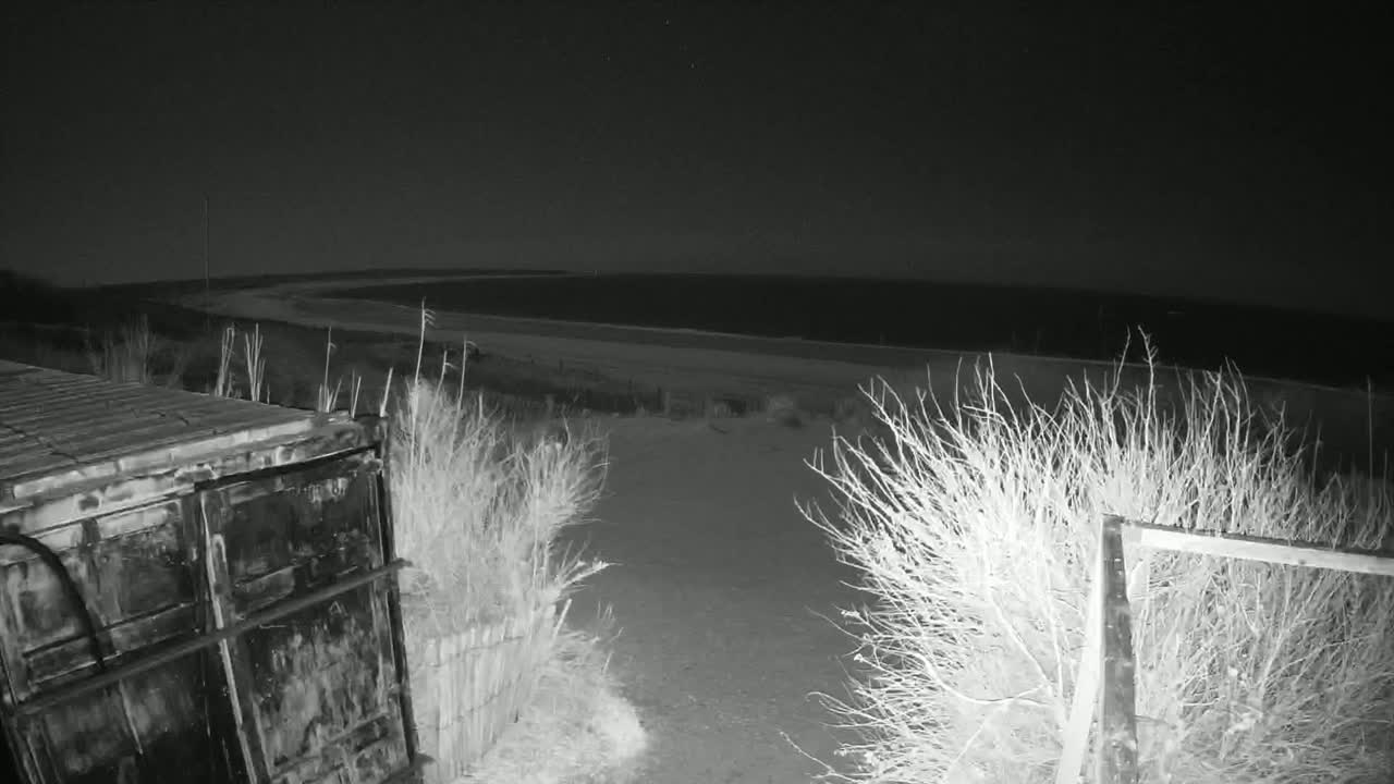 A dark, nighttime scene shows a metal container near a fence overlooking a calm, dark ocean beach.