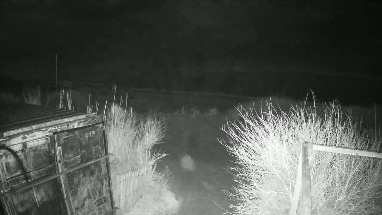 A dark, nighttime scene shows a large metal container near a fence with bare bushes, and a dirt path leading to the background.