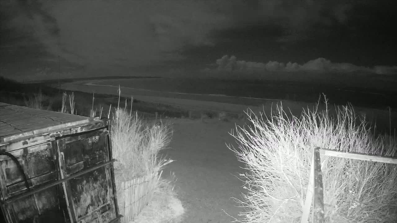 A nighttime view of a dark ocean under a cloudy sky, seen from a path bordered by shrubs and a metal container.