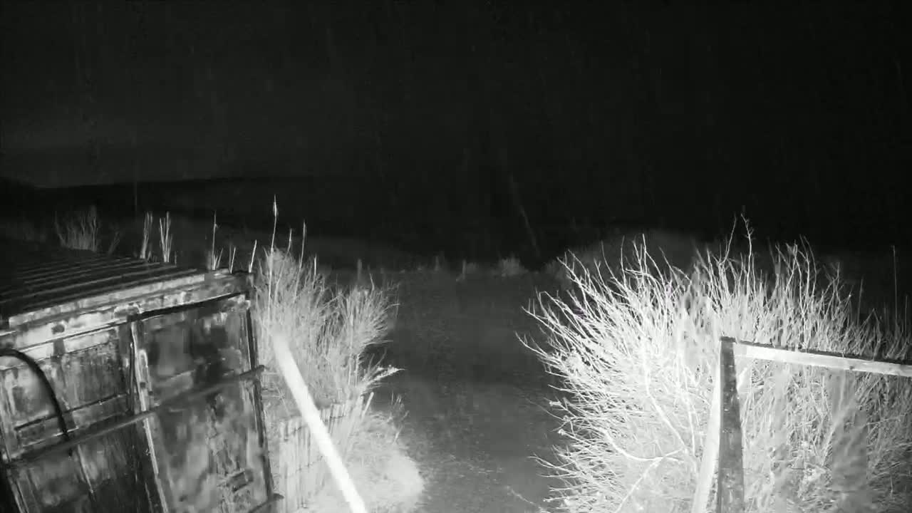 A nighttime, snowy scene shows a dark metal container next to a fence partially obscured by shrubs.