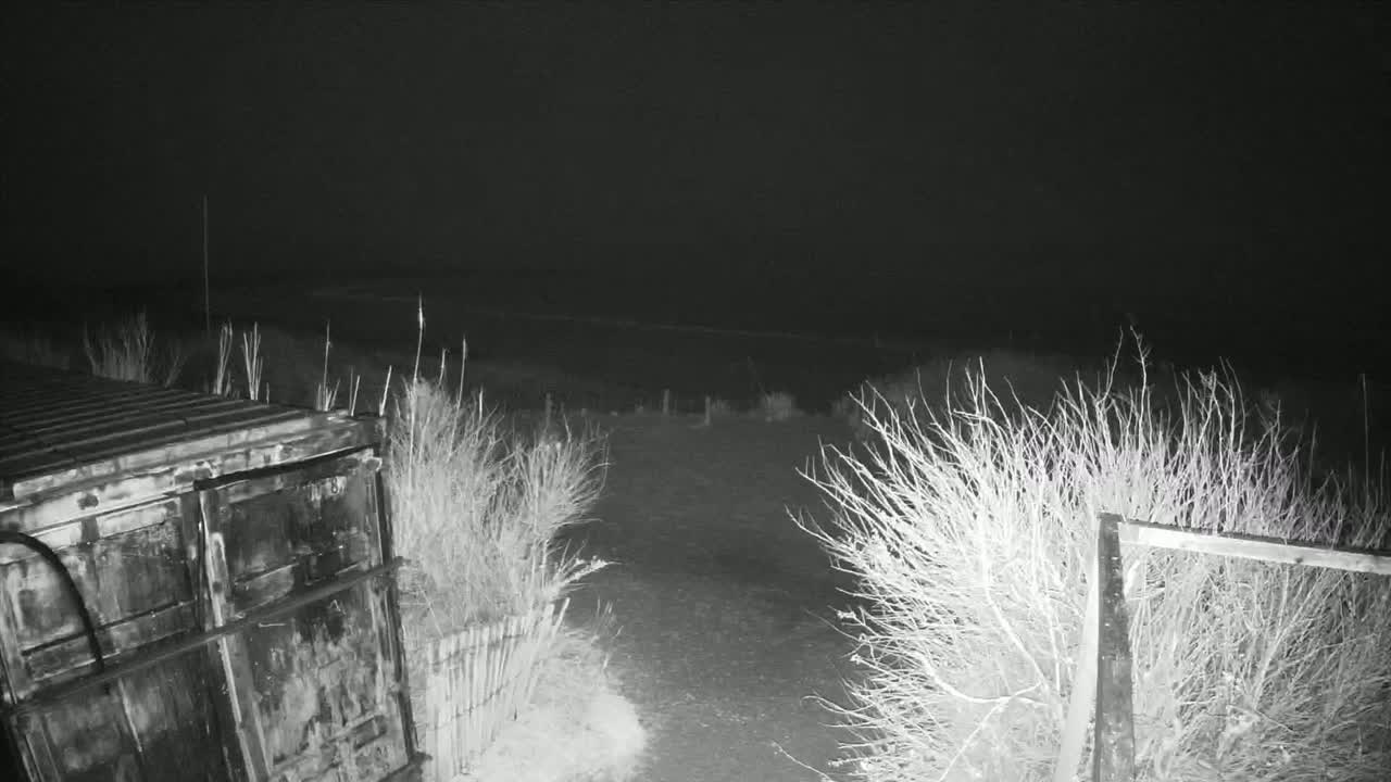 A dark, nighttime scene shows a weathered metal container next to bare shrubs and a fence, under a clear, dark sky.