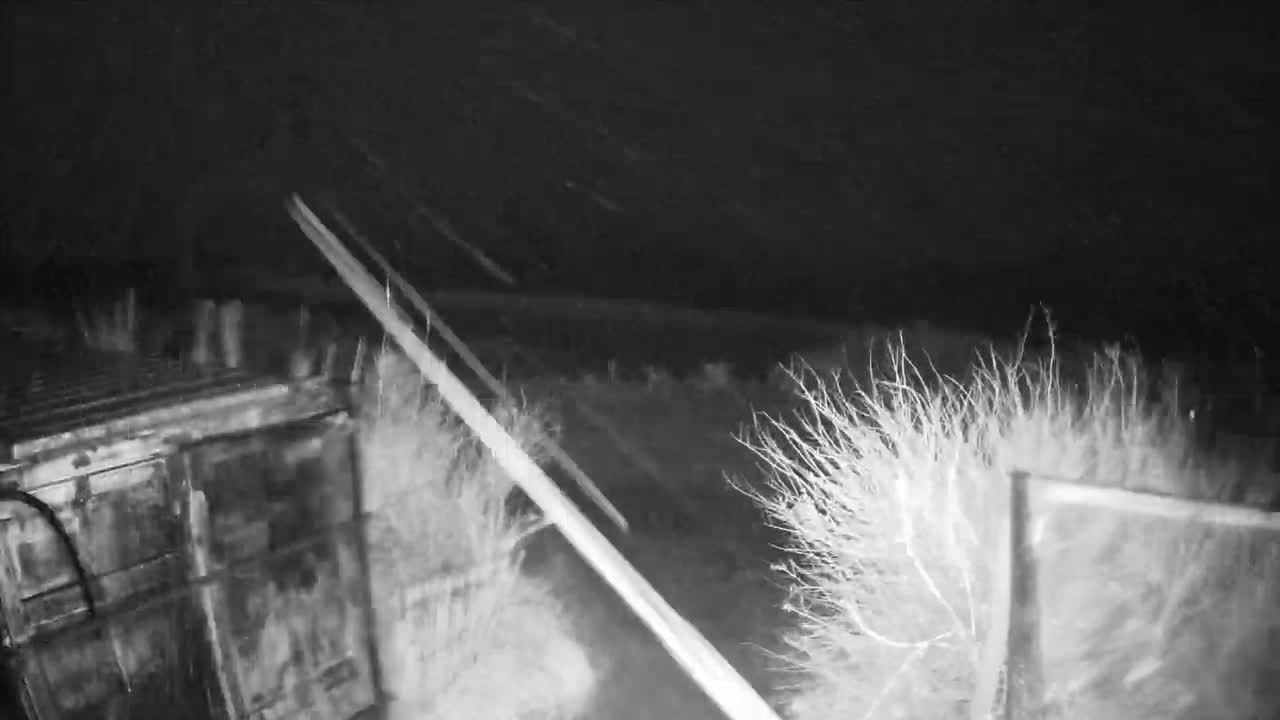 A nighttime, snowy scene shows a road with blurry headlights and some structures, possibly fences or sheds, partially obscured by snow and brush.