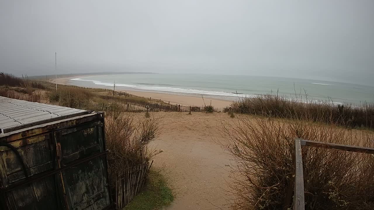 A gray, overcast day reveals a sandy beach with gentle waves meeting the ocean, viewed from behind a weathered container and dune vegetation.