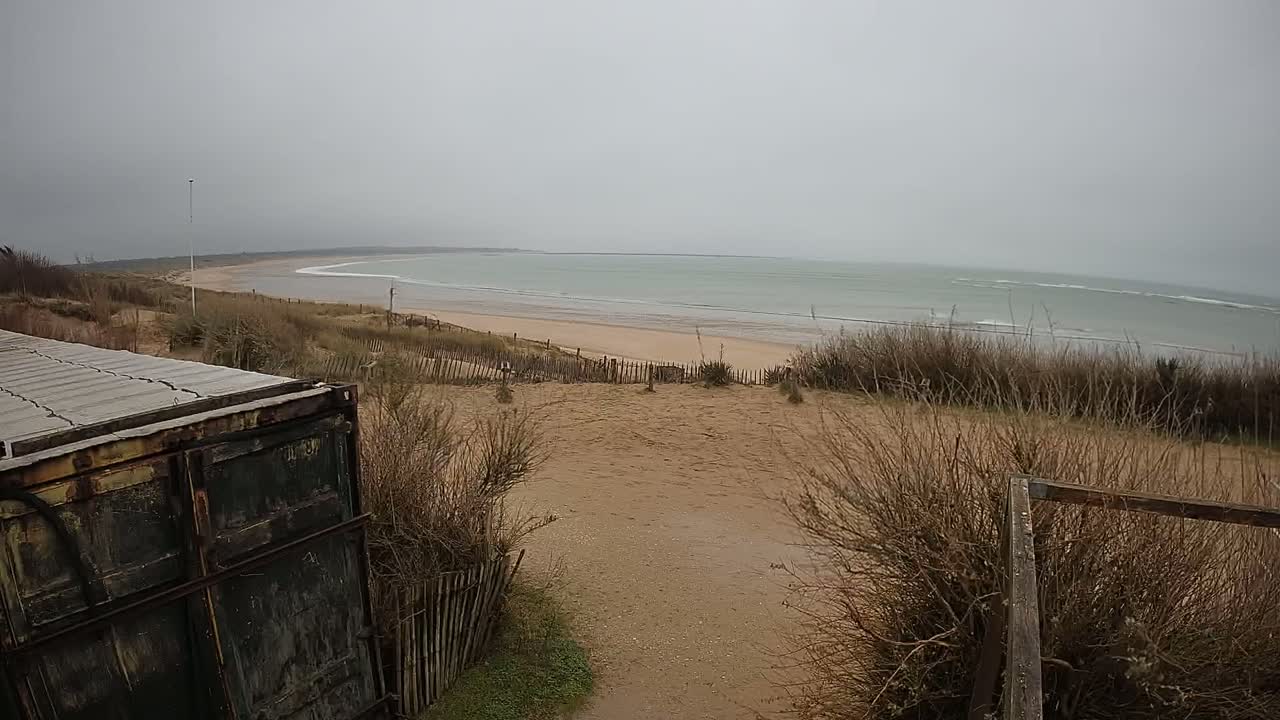 A sandy beach with calm, gray water stretches to the horizon under an overcast sky, viewed from behind a weathered metal container and dune grasses.