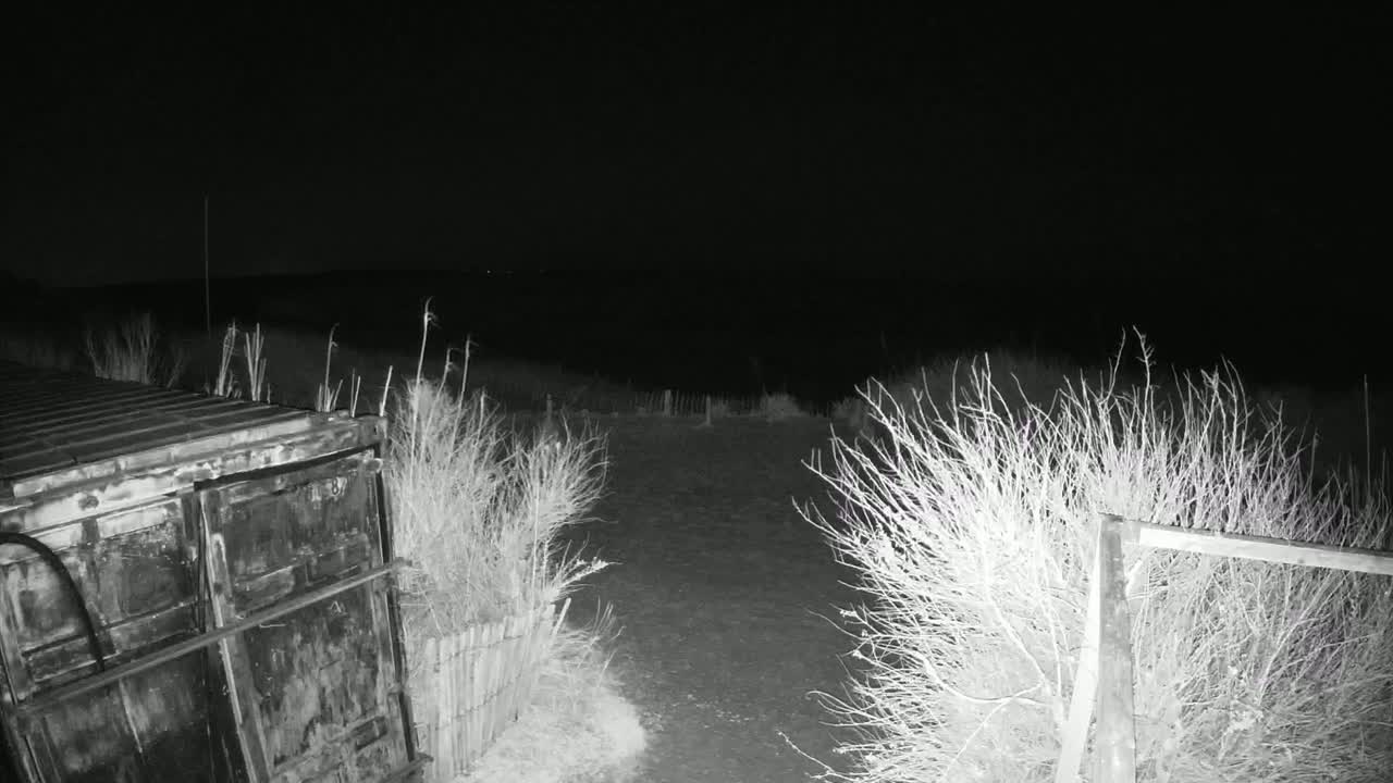 A nighttime, grayscale image shows a rusty metal container next to a dirt path bordered by bare bushes under a dark sky.
