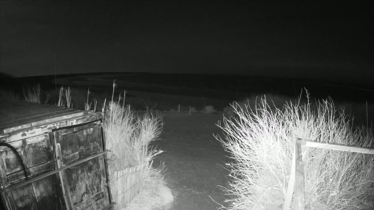 A dark, nighttime scene shows a metal container next to a sparsely vegetated area opening onto a flat, open expanse under a clear, dark sky.