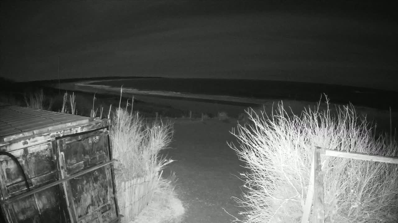 A dark, nighttime scene shows a metal container near a path leading to a calm body of water under a mostly clear sky.