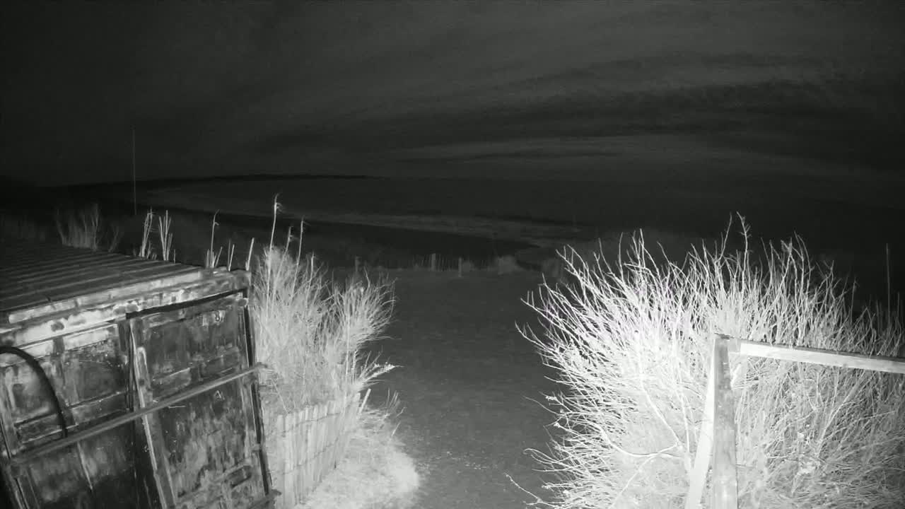 A dark, nighttime scene shows a metal container partially obscured by tall grasses and shrubs, with a dirt path leading to a dark body of water under a cloudy sky.