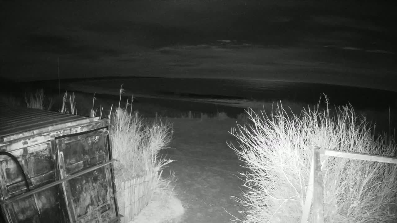 A dark, nighttime view of a beach and ocean under a cloudy sky, with a metal container and shrubs in the foreground.
