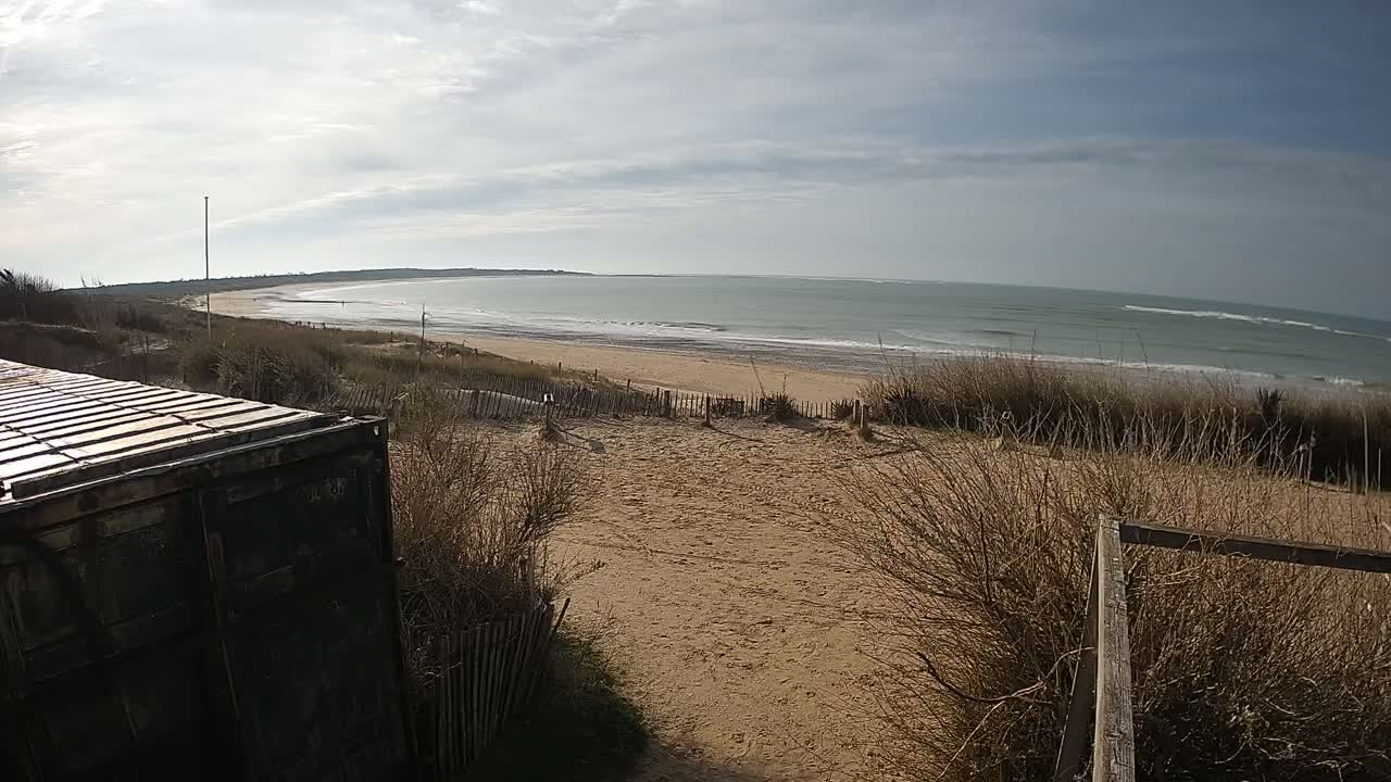 A sandy beach with a calm ocean stretches out under a partly cloudy sky, viewed from behind a weathered green container and dune grasses.