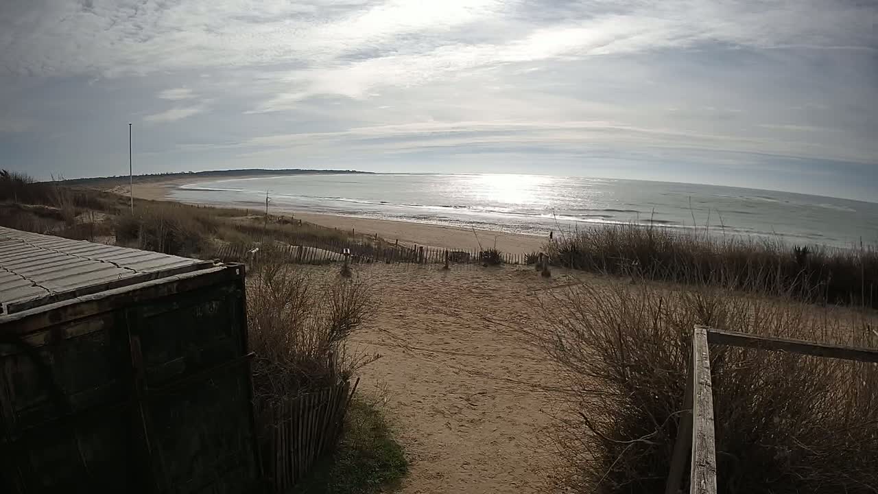 A partly cloudy day shows a view of a sandy beach and calm ocean from a dune overlooking a section of beach with sparse vegetation and a dark-colored container.
