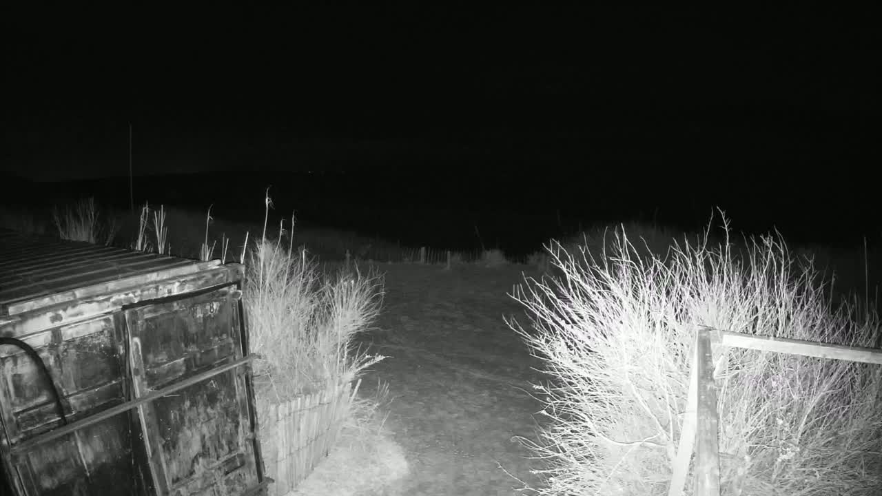 Saint-Denis-d'Oleron  Plage des Huttes Surf Beach Live Cam  - Rochefort, Charente-Maritime, Nouvelle-Aquitaine, France 