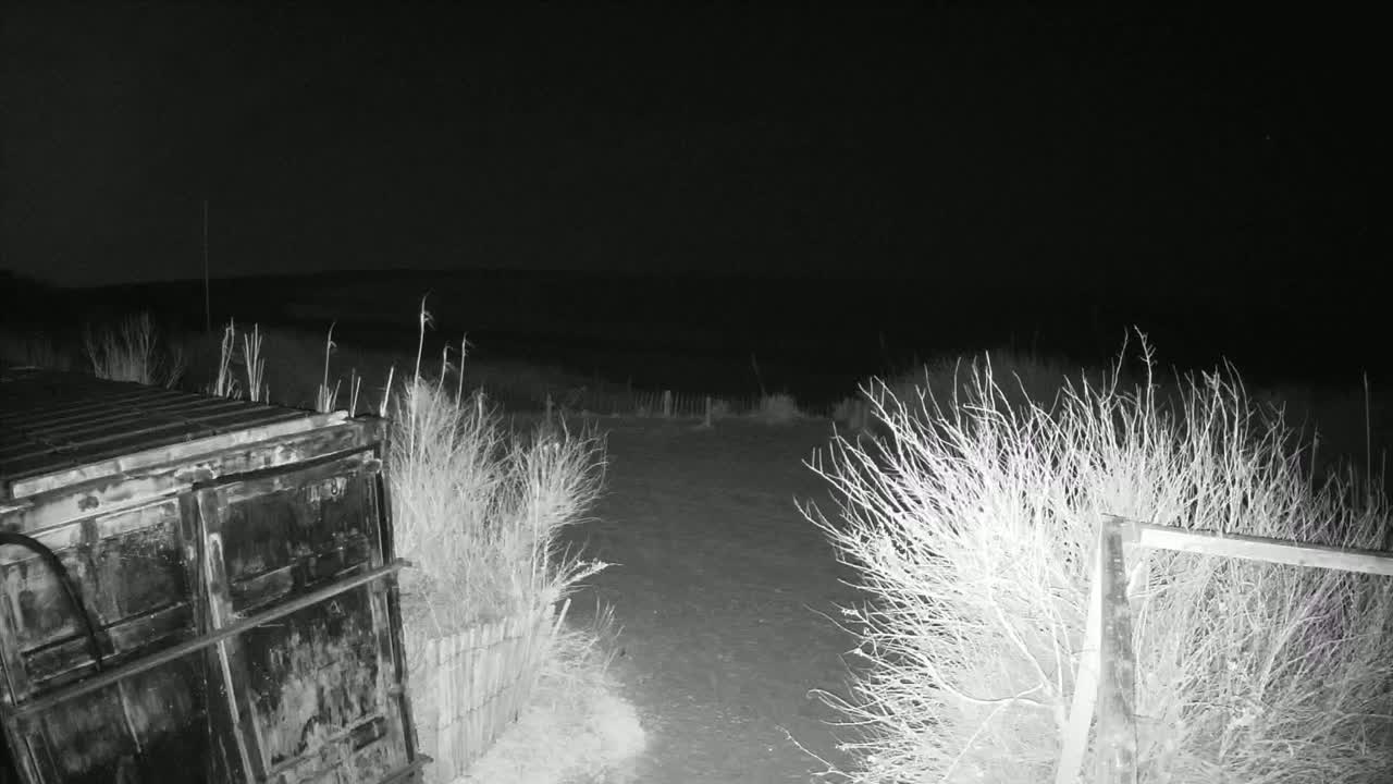 A dark, nighttime scene shows a large metal container next to a dirt path bordered by sparse, leafless shrubs and a short fence.