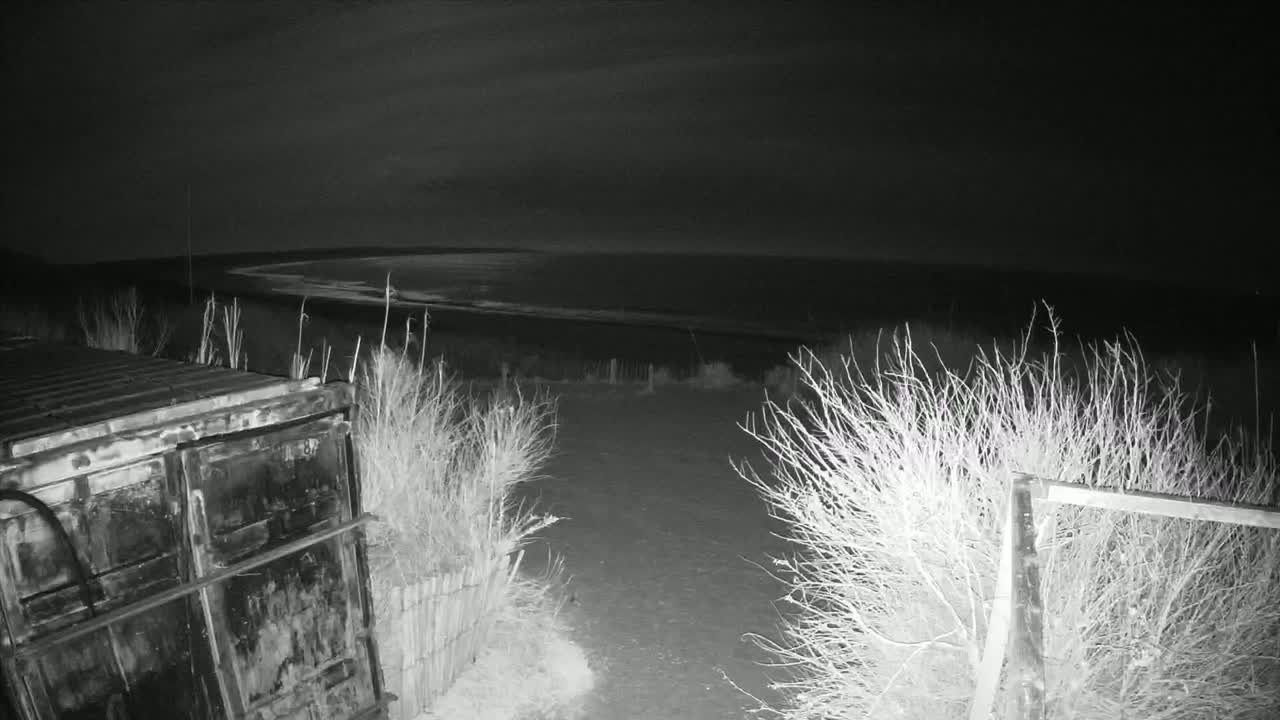 Saint-Denis-d'Oleron  Plage des Huttes Surf Beach Live Cam  - Rochefort, Charente-Maritime, Nouvelle-Aquitaine, France 