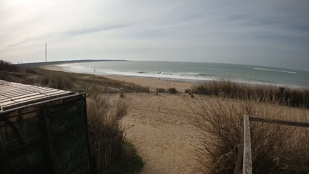 A sandy beach with gentle waves under a cloudy sky is viewed from behind a weathered metal container and dune grasses.