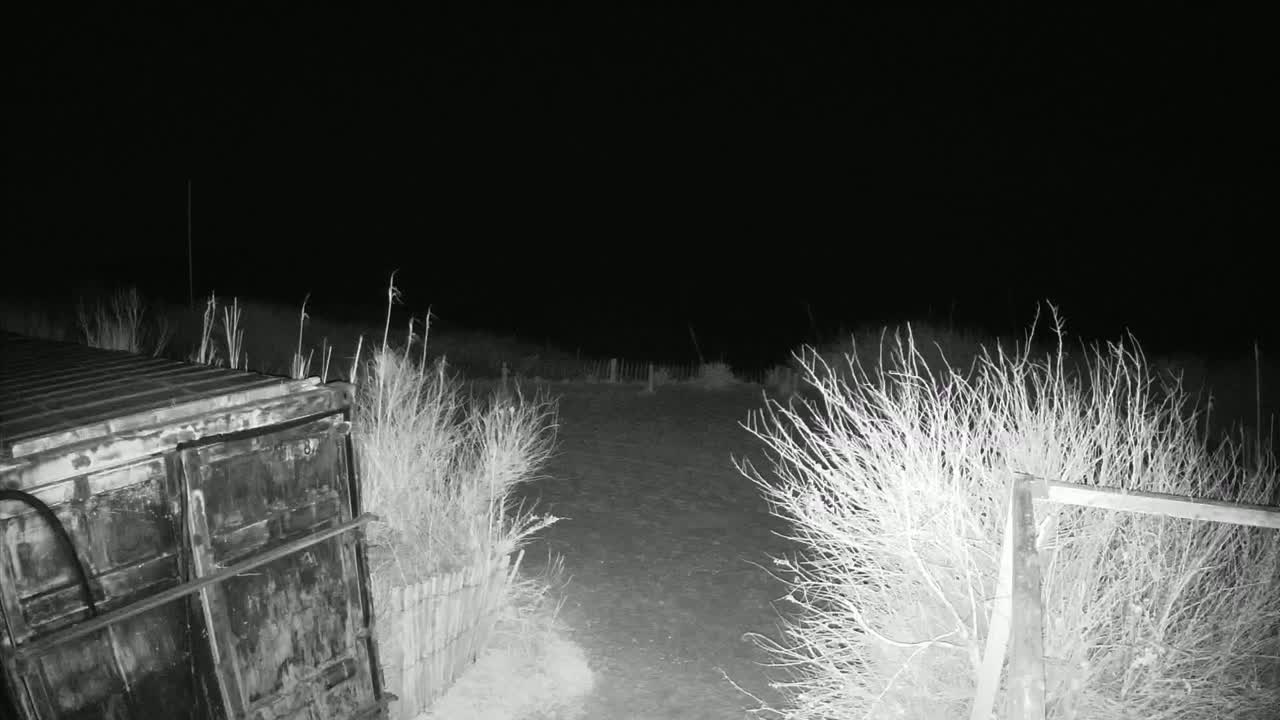 A nighttime, grayscale image shows a dark metal container next to a short fence, with bare bushes in the foreground and a dirt path leading into the darkness.