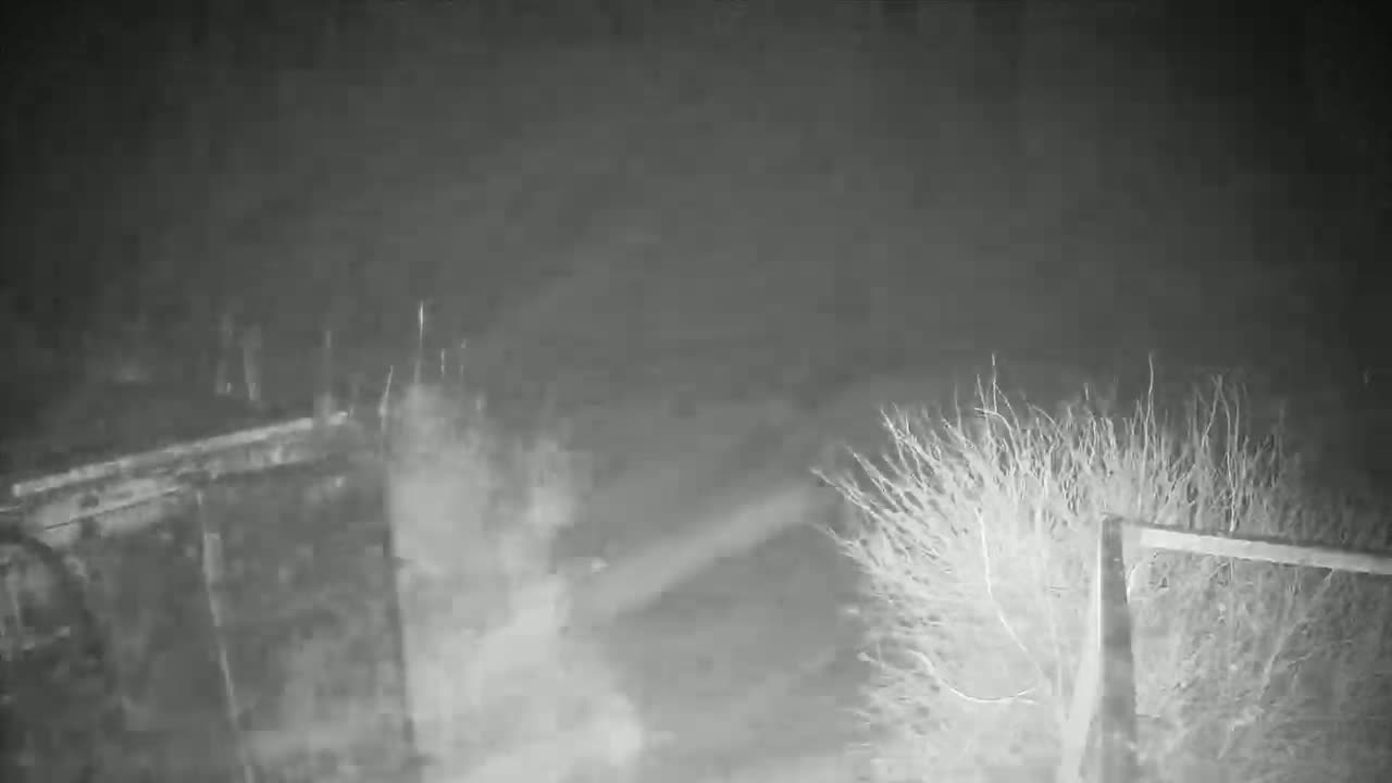 A nighttime, low-light image shows a blurry view of what appears to be a wooden fence or gate partially obscured by overgrown vegetation.
