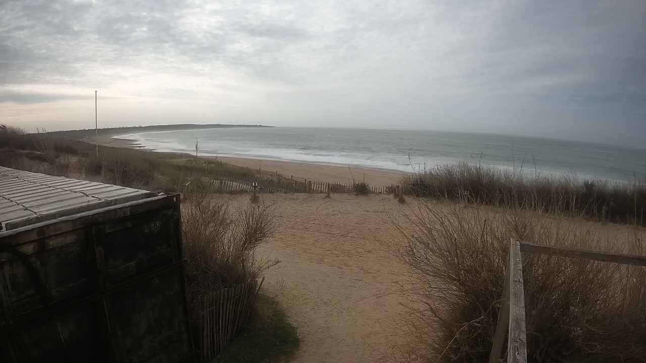 A sandy beach with choppy waves under a cloudy sky is viewed from behind a dark metal container, partially obscured by dried grasses and a wooden fence.