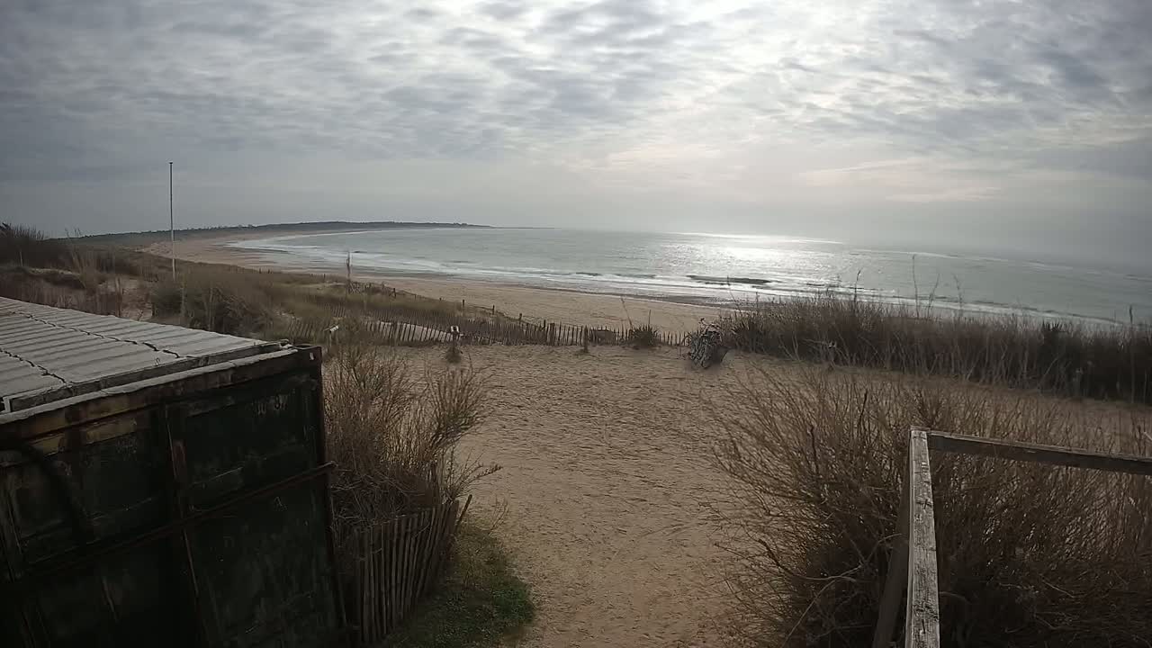 A sandy beach with gentle waves under a cloudy sky is viewed from behind a weathered container and dune grasses.