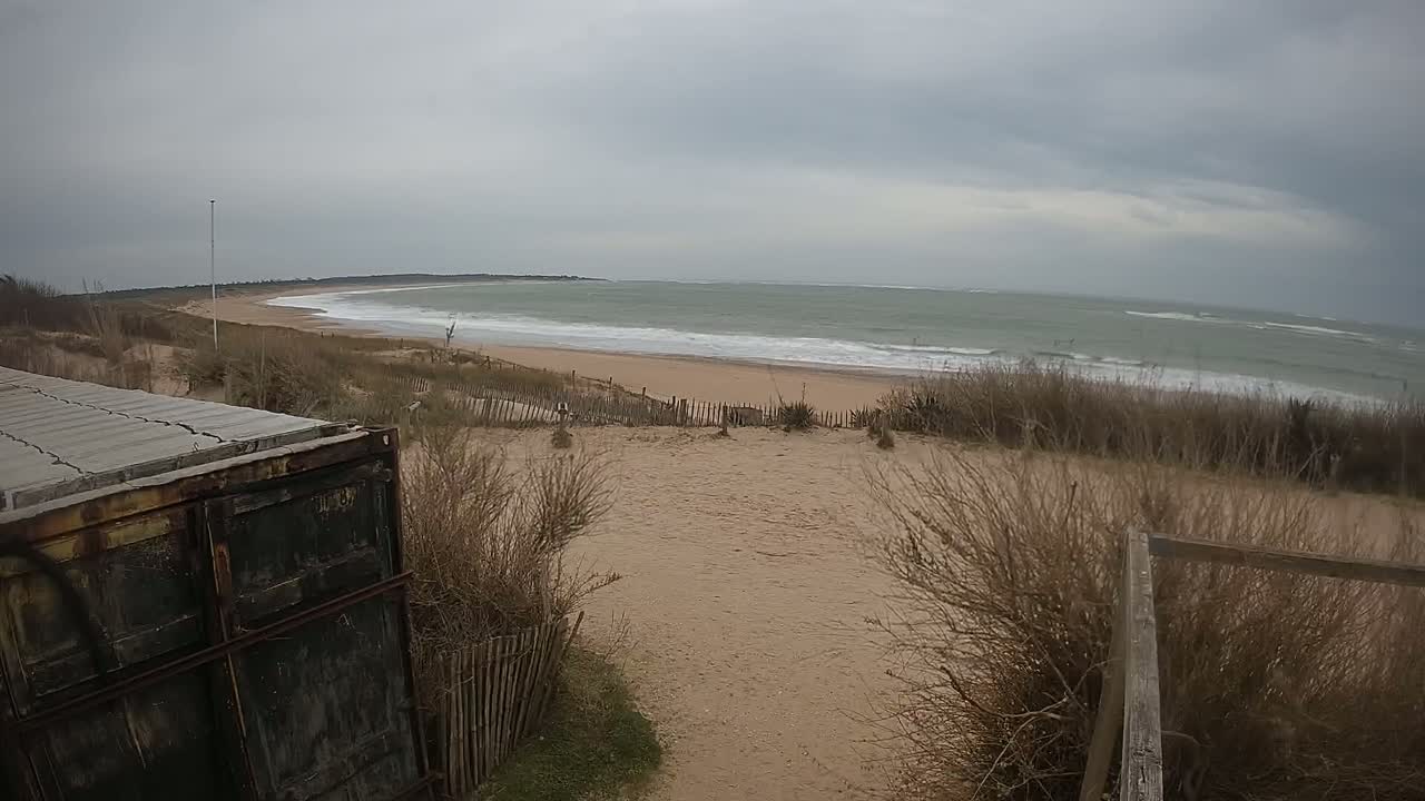 A sandy beach with choppy gray water under an overcast sky is viewed from behind a weathered container and dune grasses.