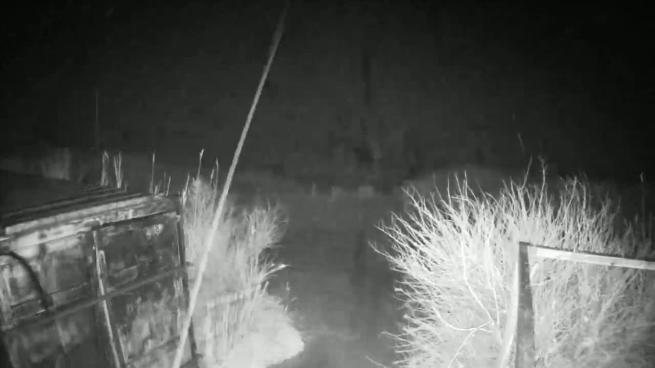 A nighttime, black and white image shows a metal container partially visible near some shrubs and a section of wire fence.