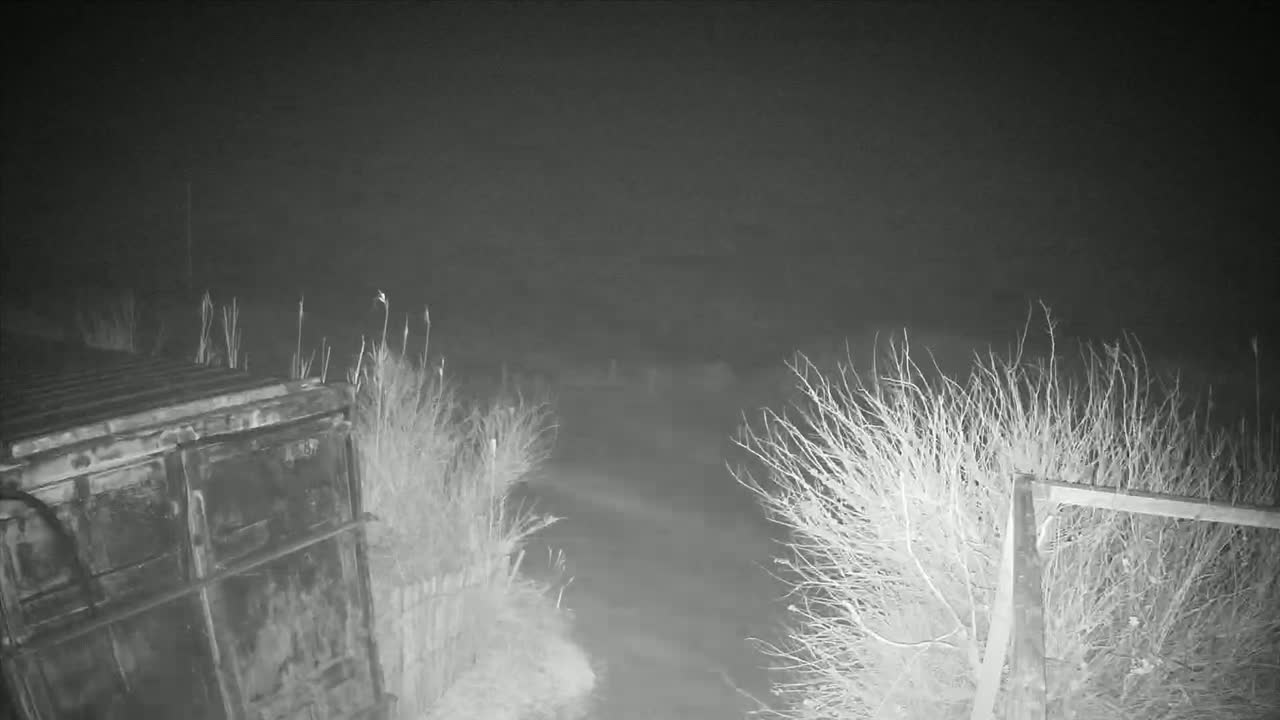 A dark, nighttime scene shows a large metal container to the left and bare, shrubby vegetation on either side of a dirt path or road.