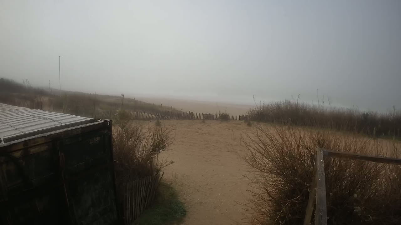 A foggy beach scene is viewed from behind a dark shipping container, with a sandy path leading to a sparsely vegetated dune and a misty ocean beyond.