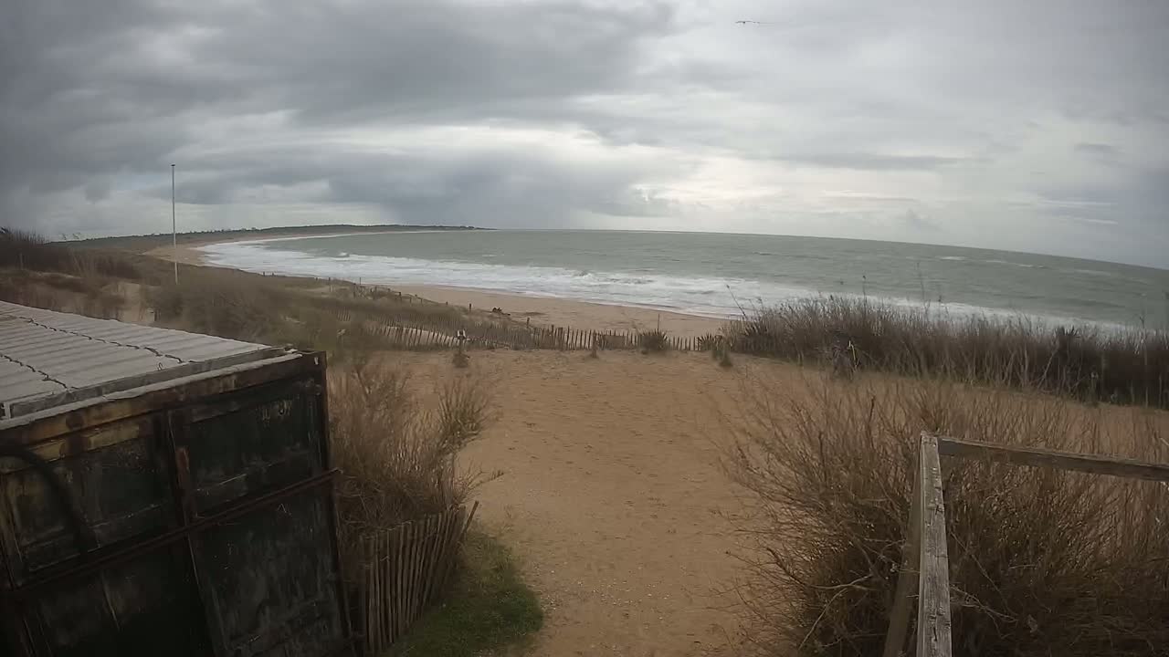 A dark gray, overcast sky hangs over a sandy beach with choppy waves and dry, brown vegetation.