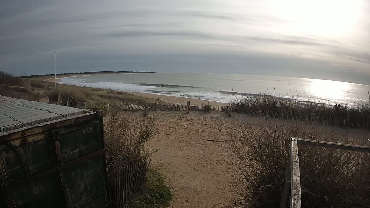 A sandy beach with gentle waves under a mostly cloudy sky is viewed from behind a weathered container, with scrubby vegetation in the foreground.