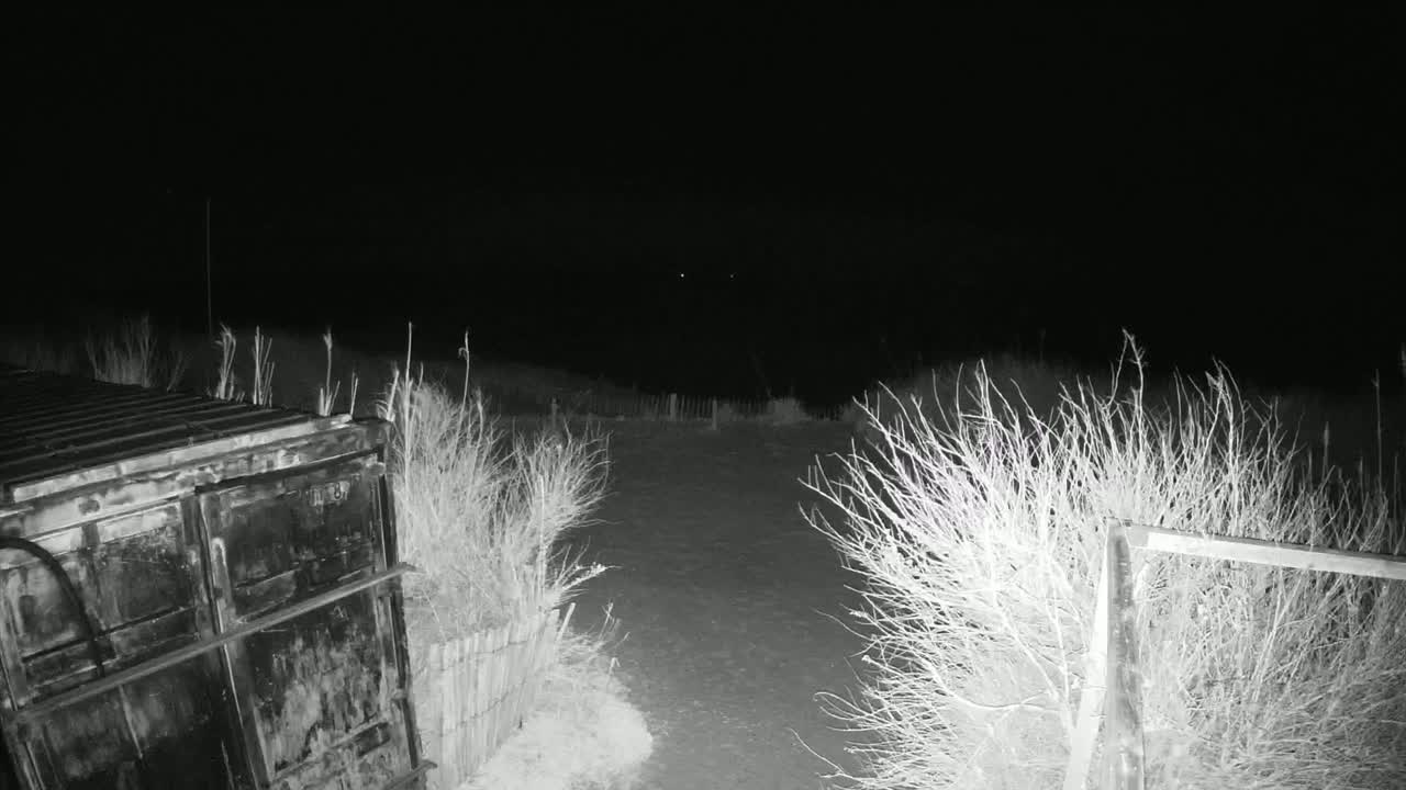 A dark, nighttime scene shows a metal container next to a dirt path bordered by sparse, dry-looking bushes under a clear, starlit sky.