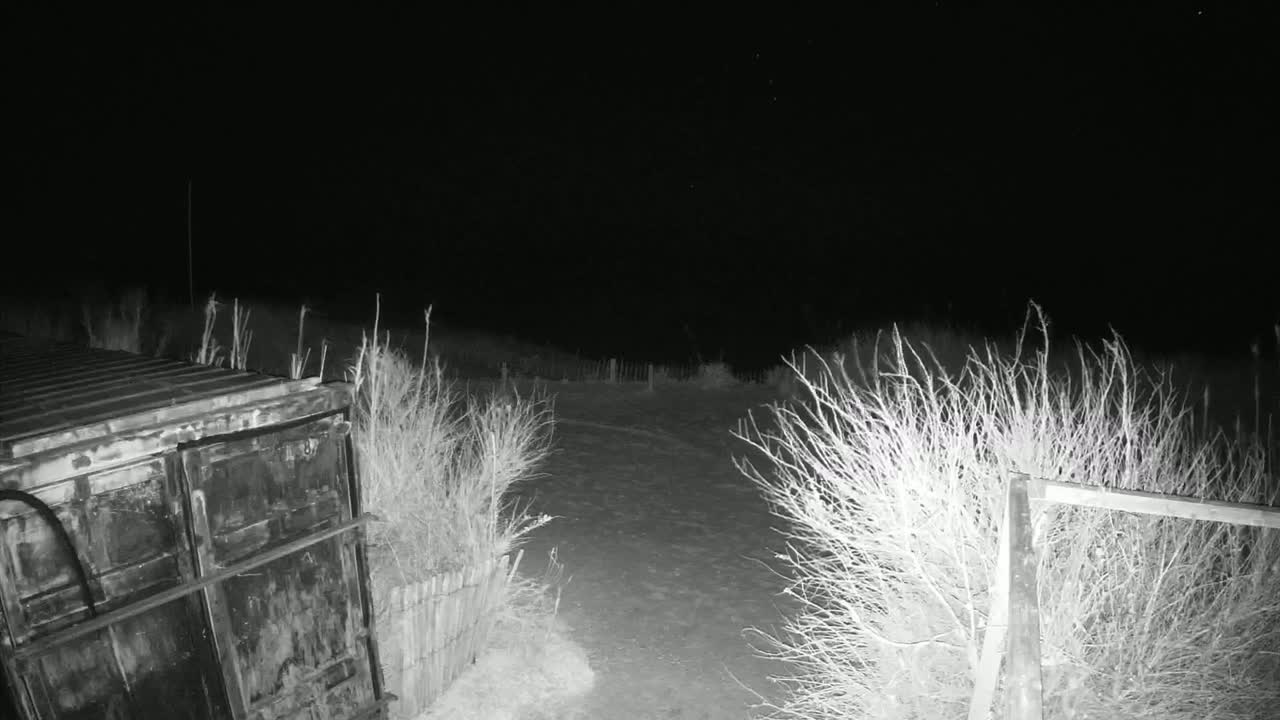 A dark, nighttime scene shows a weathered metal container next to a snow-covered path bordered by leafless shrubs and a wooden fence.
