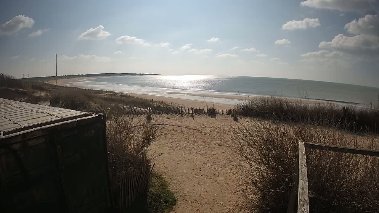 A sandy beach with calm ocean waves under a partly cloudy sky is viewed from behind a weathered wooden fence and part of a dark green container.