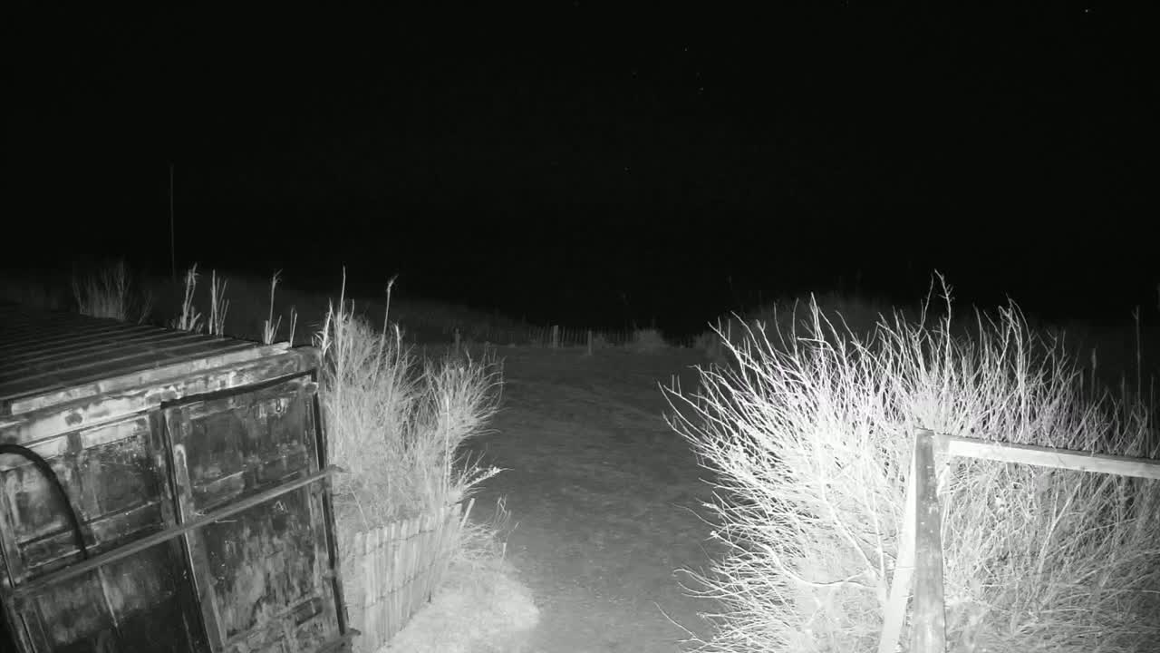 A dark, nighttime scene shows a metal container next to a small fence, with bare bushes and a path leading to a darker area under a clear, starry sky.