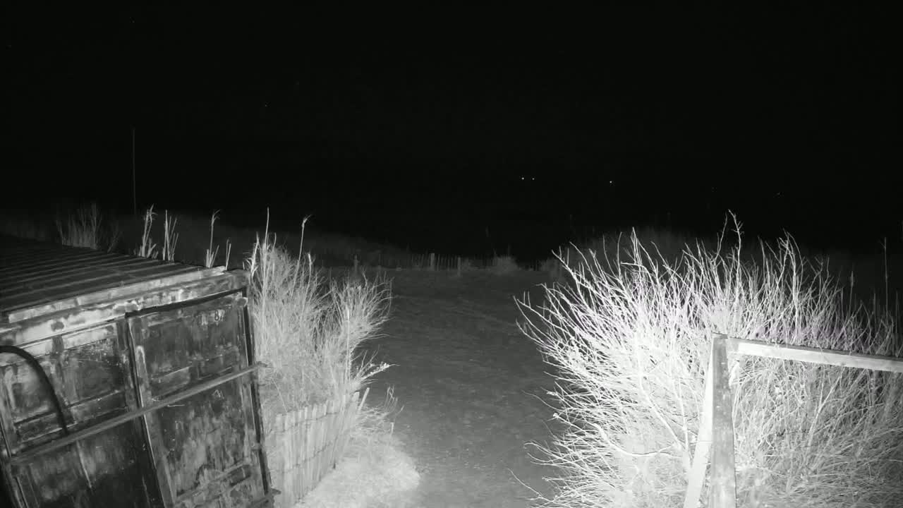 A dark, nighttime scene shows a metal container next to a dirt path bordered by bare, shrubby plants and a wooden fence.
