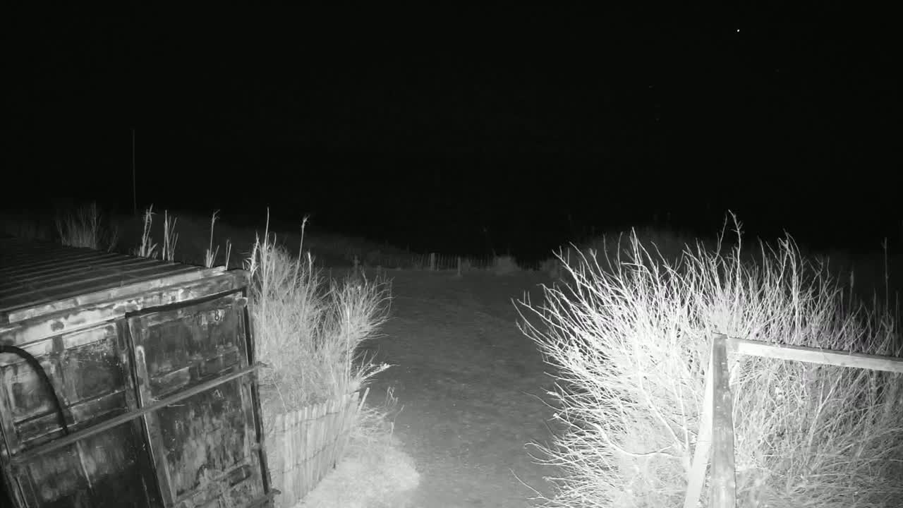A dark, nighttime scene shows a weathered metal container next to a snow-covered path bordered by bare, shrubby plants and a wooden fence.