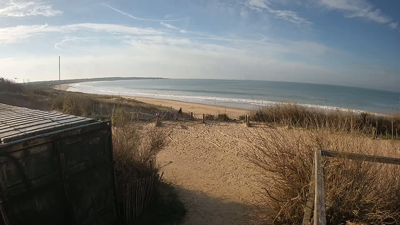 A sandy beach with gentle waves under a partly cloudy sky is viewed from behind a weathered container, partially obscured by dune grasses.