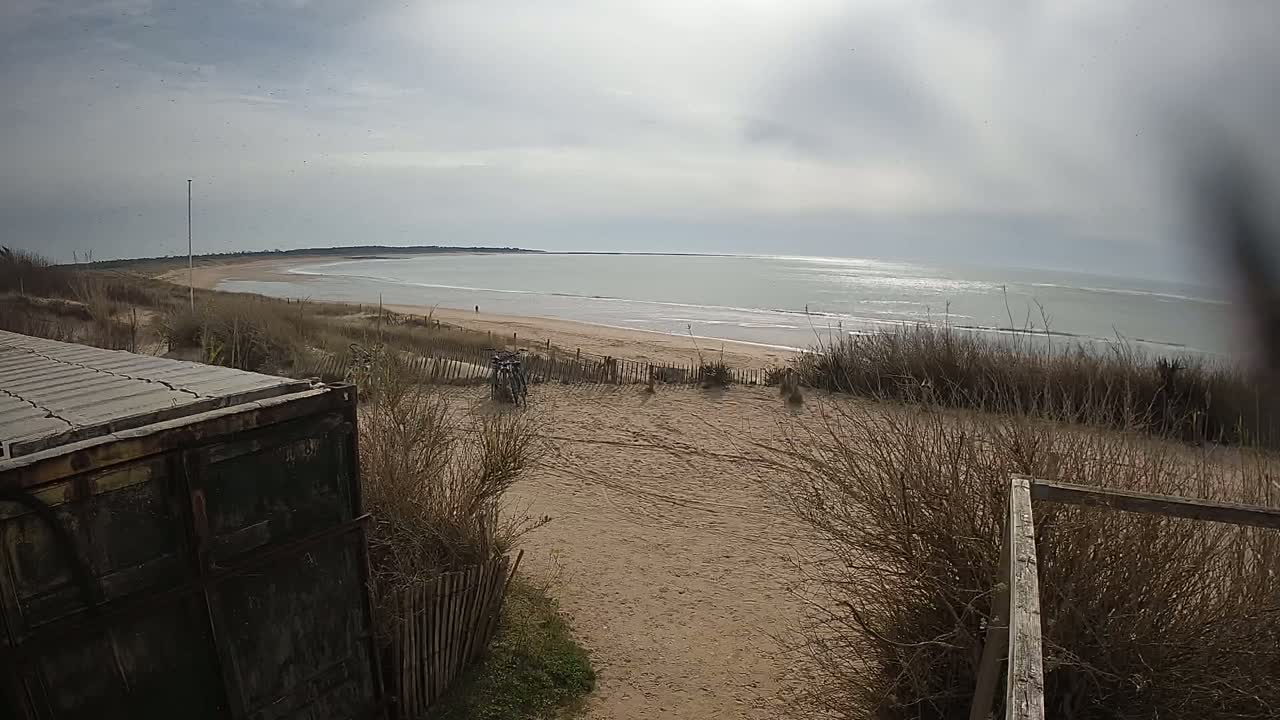 A sandy beach with calm ocean waves under a cloudy sky is viewed from behind a weathered container and dune grasses.