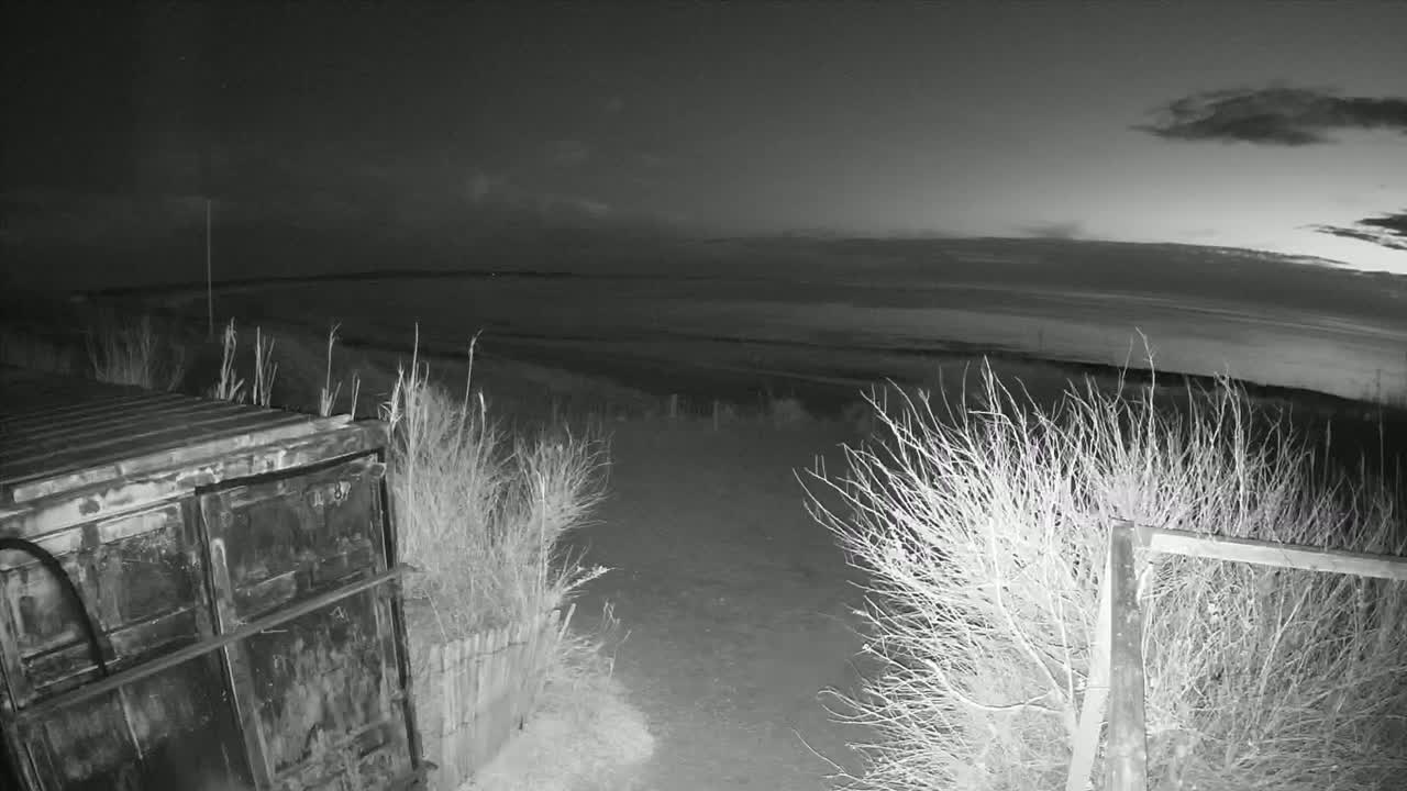 A nighttime, grayscale image shows a metal container near a fence, with bare bushes and a body of water visible in the distance under a partly cloudy sky.
