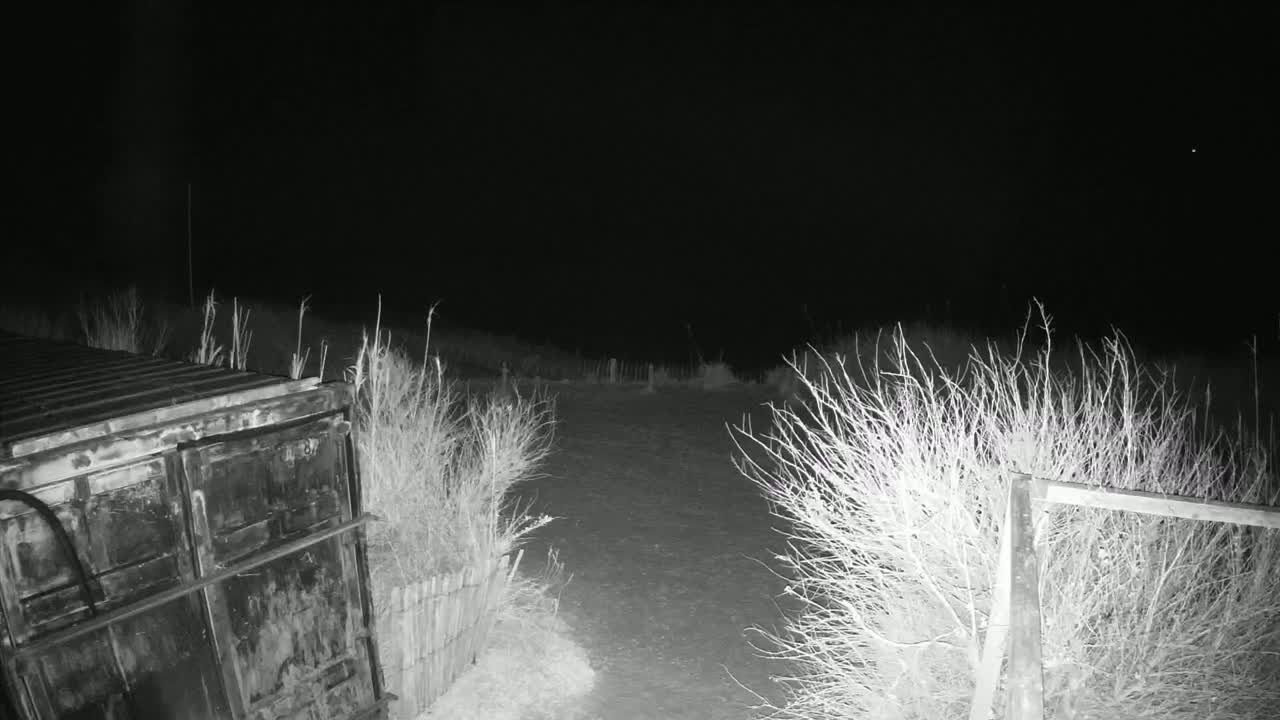 A dark, nighttime scene shows a metal container next to a dirt path bordered by leafless shrubs and a fence.