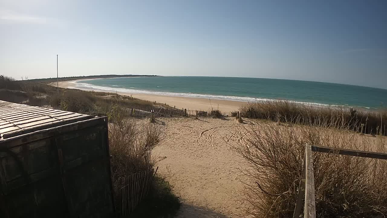 A sandy beach with a turquoise ocean under a clear blue sky is partially visible beyond a dune covered in dry, brown shrubs and a weathered green container.
