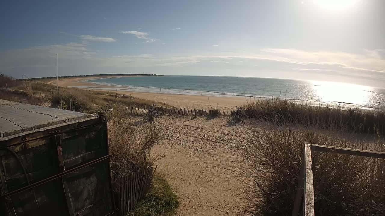 A sandy beach with calm ocean waves under a sunny sky is viewed from behind a weathered container, partially obscured by dune grasses and a wooden fence.