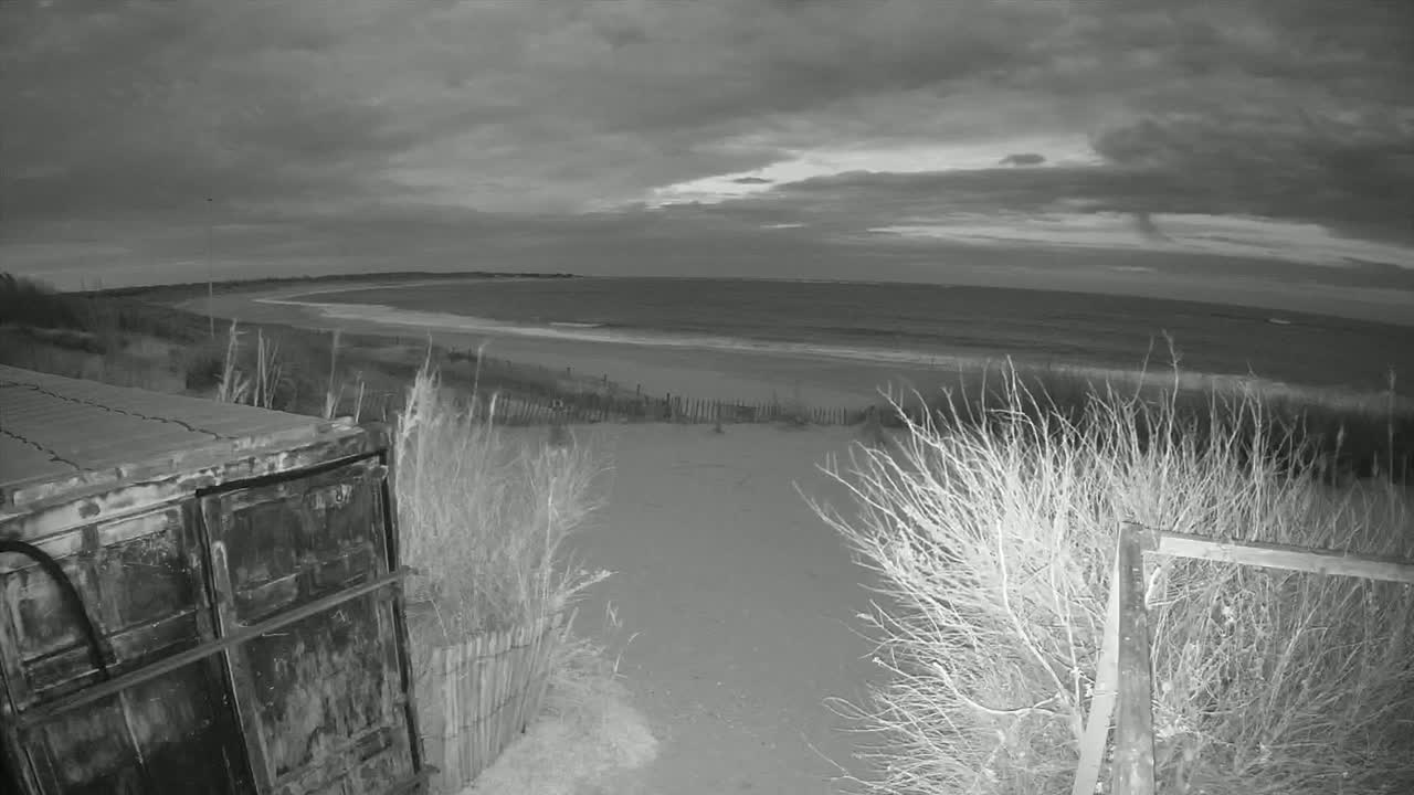 A dark, overcast sky hangs over a beach scene viewed from behind a weathered metal container and sparse, windswept vegetation.