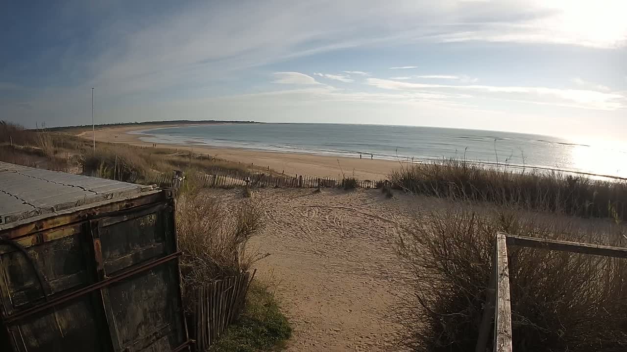A sandy beach stretches to a calm ocean under a partly cloudy sky, viewed from behind a weathered metal container and dune grasses.