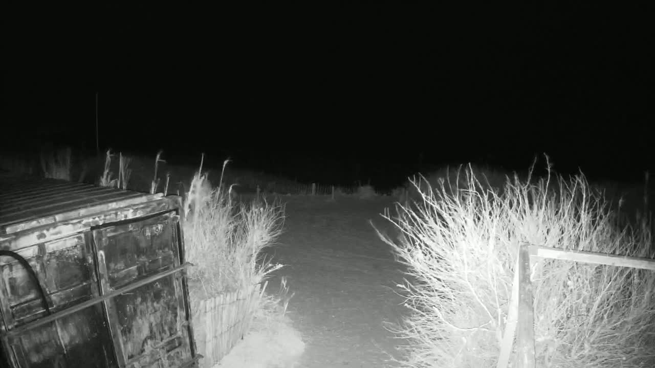A dark metal container sits near a snow-covered area bordered by shrubs at night.