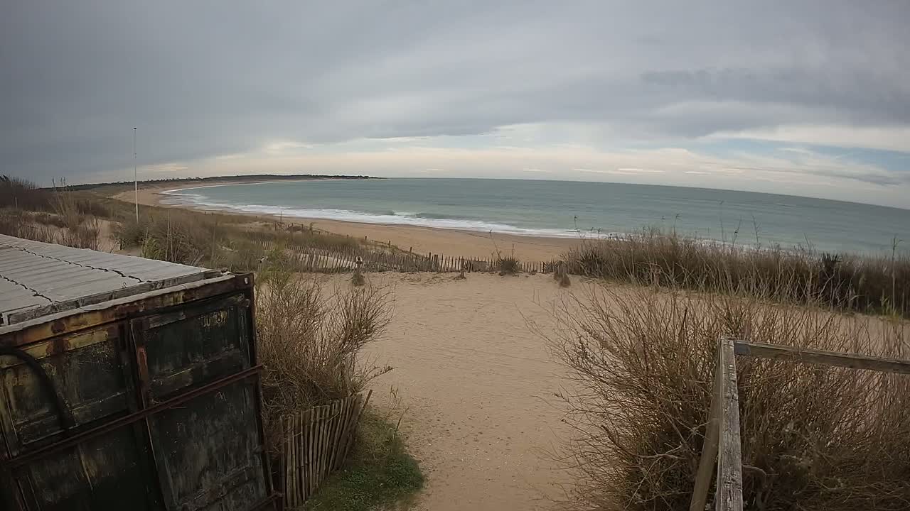 A sandy beach with gentle waves under an overcast sky is seen from behind a weathered metal container and dune grasses.